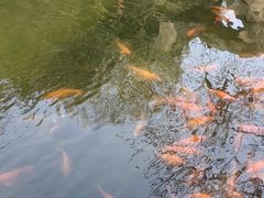 -恭王府博物馆