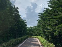 -迪茵湖田家舍生态农场
