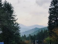 -硗碛藏寨·神木垒景区