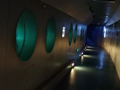 -白鹤梁水下博物馆