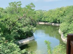 -石家庄市动物园