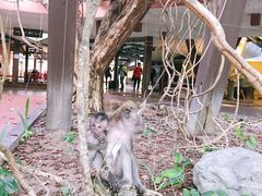 -麦里芝蓄水池
