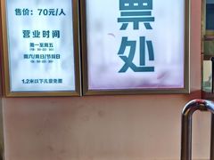 -星城之眼摩天轮