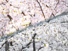 -龙美术馆(西岸馆)