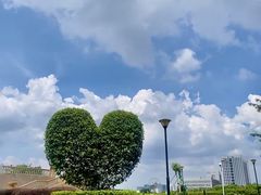 -东莞植物园