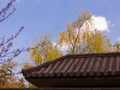-西安青龙寺遗址景区