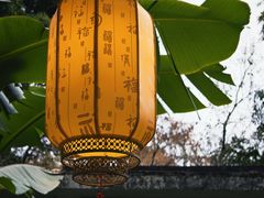 -广州兰圃