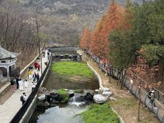 -白水寺森林公园