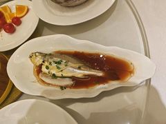 -骏莱海鲜鱼港(五角场店)