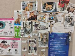 -美联众合爱康动物医院•复杂内科•肿瘤科•牙科•腔镜诊疗中心