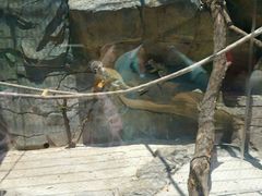 -泉州海丝野生动物世界