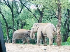 -北京野生动物园