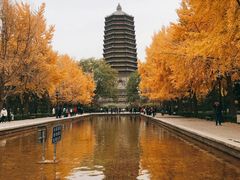 -玲珑塔公园