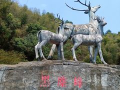 -长沙黑麋峰国家森林公园