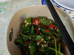 -九寨特色牦牛肉汤锅 羊肉汤锅