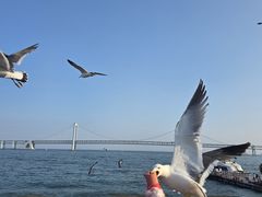 -星海广场