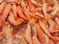-星伦多自助料理·涮烤一体(江桥万达店)