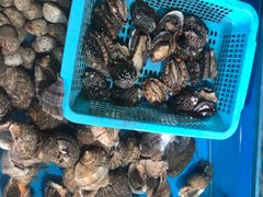 -云南巷海鲜大咖·可加工海鲜