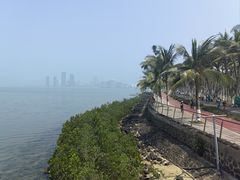 -万绿园