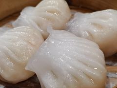 虾饺王-高第街56号港式餐厅·精选(世茂广场宽厚里大明湖店)