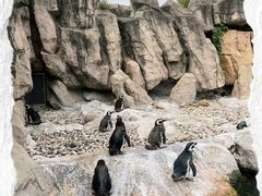 -上海野生动物园