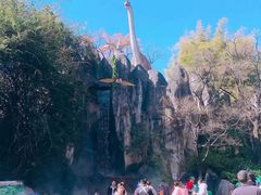 -昆明动物园
