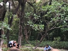 -燕晗山郊野公园