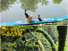 -荔江湾景区