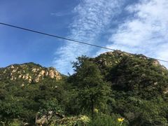 -大岭沟猕猴桃谷风景区