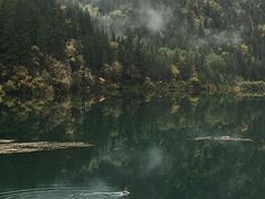 -阿莉餐厅(枣阳路店)