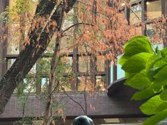 -香港大学