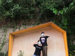 -光明小镇欢乐田园