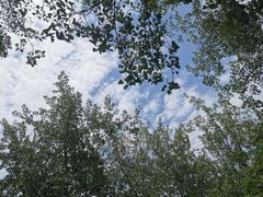 -白鹭湾湿地公园