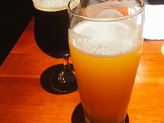 -Boxing Cat Brewery拳击猫精酿啤酒馆(永福店)