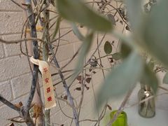 -彳亍咖啡·这里(水湾路店)
