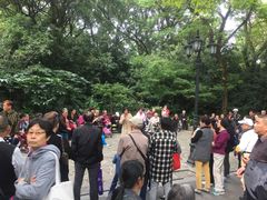 广场舞-鲁迅公园