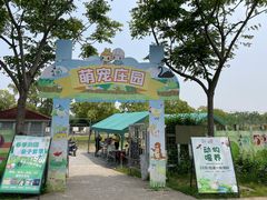 -上海长兴岛郊野公园