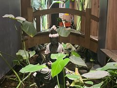 -邈墨茶馆(凤起路店)