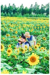 -蜜糖派儿童摄影(青建·太阳岛店)