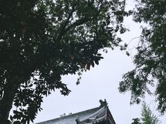 -荆州博物馆