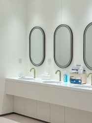 -广州美莱医疗美容医院