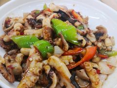 辣炒八爪鱼-渔家乐小海鲜(皇姑店)