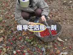 -南窖乡水峪村山情农家