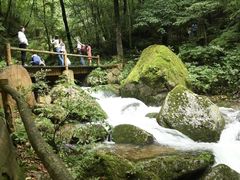 -五女峰国家森林公园