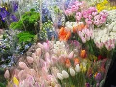 -循礼门鲜花花市(武汉循礼门店)