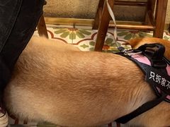 -曼谷食堂·泰国家庭料理