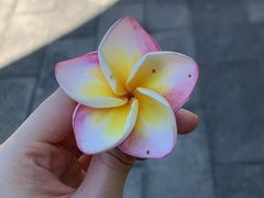 -西双版纳傣族园