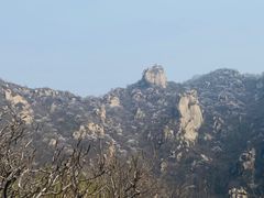 -大岭沟猕猴桃谷风景区