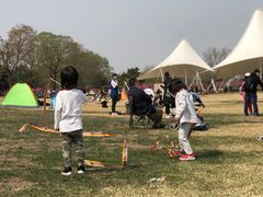 -石家庄市植物园
