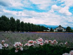 -富田农场